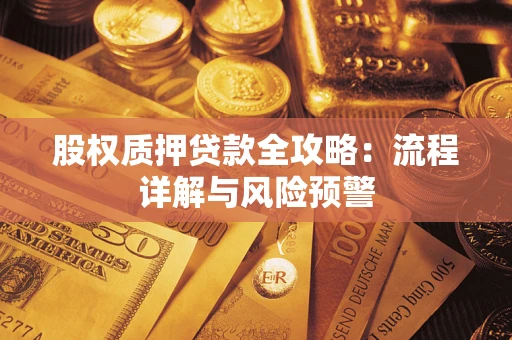 武汉股权质押贷款全攻略：流程详解与风险预警