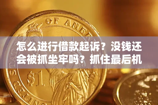 武汉怎么进行借款起诉？没钱还会被抓坐牢吗？抓住最后机会！