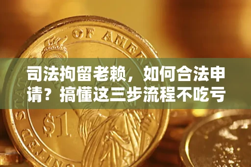 武汉司法拘留老赖，如何合法申请？搞懂这三步流程不吃亏！