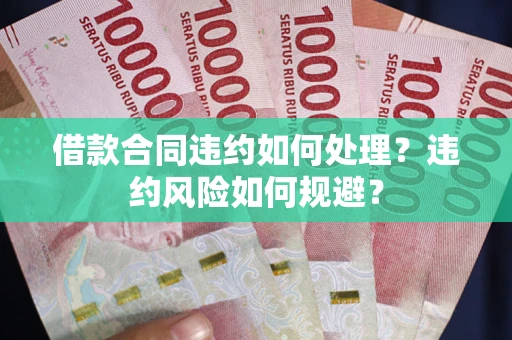 武汉借款合同违约如何处理？违约风险如何规避？