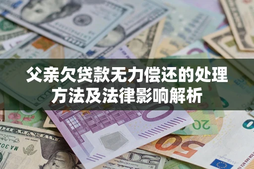 武汉父亲欠贷款无力偿还的处理方法及法律影响解析
