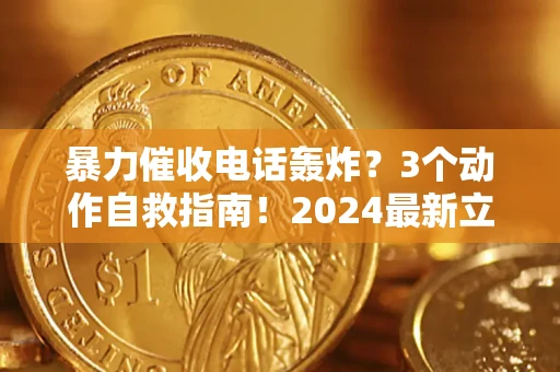 武汉暴力催收电话轰炸？3个动作自救指南！2024最新立案标准全解析
